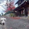 お手々パンパンの季節