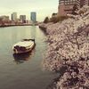 2022年春の記憶、地元・大阪の桜の写真