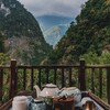 杉林溪烏龍茶は台湾高山茶の最高峰！その特徴とおいしい淹れ方をご紹介