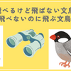 飛べるけど飛ばない文鳥、飛べないのに飛ぶ文鳥