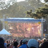 Hardly Strictly Bluegrass Festival