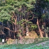 田原の名所めぐり　その３（大田村）