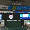 初めての現地野球観戦