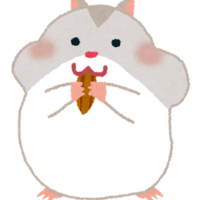 さようなら ハムスターなんて ただのネズミだと思ってた ありがとう シブリバラ短期大学 さようなら ハムスターなんて ただのネズミだと思ってた ありがとう シブリバラ短期大学