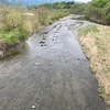 4月24日(木)荒川柳大橋の河川情報