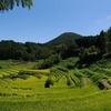 大阪府）里山ハイキング。能勢町「長谷の棚田」