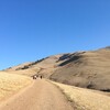 Mission Peak Regional Preserve