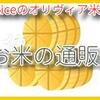 今年はお家でお花見！越の誉の「春酒」入荷！！  「越神楽」で醸した純米吟醸酒！ 越の誉　純米吟醸　春酒　720ml [新潟県]