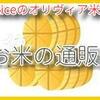 今年はお家でお花見！越の誉の「春酒」入荷！！  「越神楽」で醸した純米吟醸酒！ 越の誉　純米吟醸　春酒　720ml [新潟県]