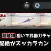 〖エンドフィールド〗テルミット・カッター欲しさにレーヴァテイン武器ガチャを回した結果、天井まで連れて行かれた話【無課金は真似しないで】