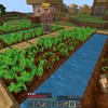 ガチ初心者の冒険メインのマイクラプレイ日記69　結構囲えてきました