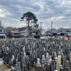 メモ　米が高い　メークインも高かった　山火事……