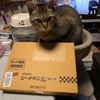 シーチキンLってお高くなっちゃったからAmazonの定期便扱いで買ってみた！