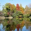 武蔵関公園（東京都練馬区）