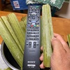 健康な体を作るには　晴れ