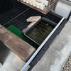 真夏に向けて水場を拡張せよ！イシガメ飼育場パワーアップ計画🐢💪