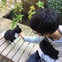 たぬきの部屋