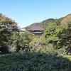 京都ぶらり　世界遺産　清水寺　番外編