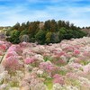 茨城県　水戸偕楽園