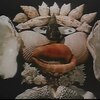 自然の歴史（組曲）