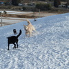 まだまだ雪が残っているんです～！