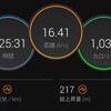 第三のホームコース【2021/11/07夕方ラン】
