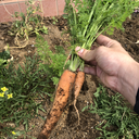 発想転換の踏み台