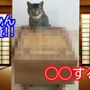 稼ぐぞ！YouTube日記＃初日