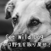 Get Wild Dog ～ワンコ野生を取り戻せ！～｜愛犬の本能を満たす遊びと散歩のすすめ
