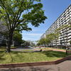 立花一丁目団地（東京都墨田区）