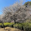 王禅寺ふるさと公園