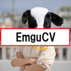 【環境構築】EmguCVのセット方法