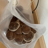 栽培キットで楽しむ椎茸の育成方法🍄