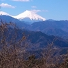 小さな心の叫び〜日々の生活から