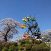 鹿沼市「千手山公園の桜」