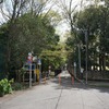 2023/03/29 公園北橋 ・石神井川上流端