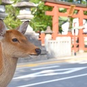 食べる、少年。
