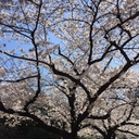 『超語呂合わせ50』でITパスポート試験にサクッと合格！