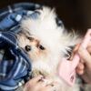 【仕事と外国語学習】忙しくて勉強できないときは、あえて休んだほうがいい理由