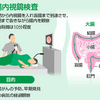 0500 起床　気分快　晴　【秘仏に会いに行こう№０３】ピンポイント東大寺巡行③　大腸内視鏡と華厳論。マクロからミクロへダイブする、壮大な宇宙論です。