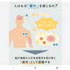 疲れを感じたら、回復し始めている