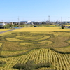 浜ちゃん日記　  決断と迅速な対処