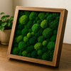 枯れない苔の魅力！プリザーブドモスで広がる癒しのインテリアの世界🌿