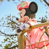 【Dオタ】ディズニーは何故カメラ率が高い？【一眼カメラ】