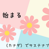 新年度が始まる。