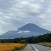 2022年夏の思い出～～山中湖花の都公園、写真中心💦～～