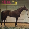 1971.09 優駿 1971年09月号　青森の二歳市場／３歳の新種牡馬（下）／［対談］日本ももっとおおらかに　寺山修司・山野浩一／自由化後の日本競走馬生産者／ファーラップ　オーストラリアの偉大なチャンピオン馬／運審まで