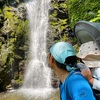 取立山に2歳の子供と登山〜水芭蕉、滝、卵塊〜（2022年5月、福井県）