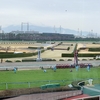 2023スプリンターズステークスを攻略しよう
