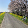 自転車活動　お参り　